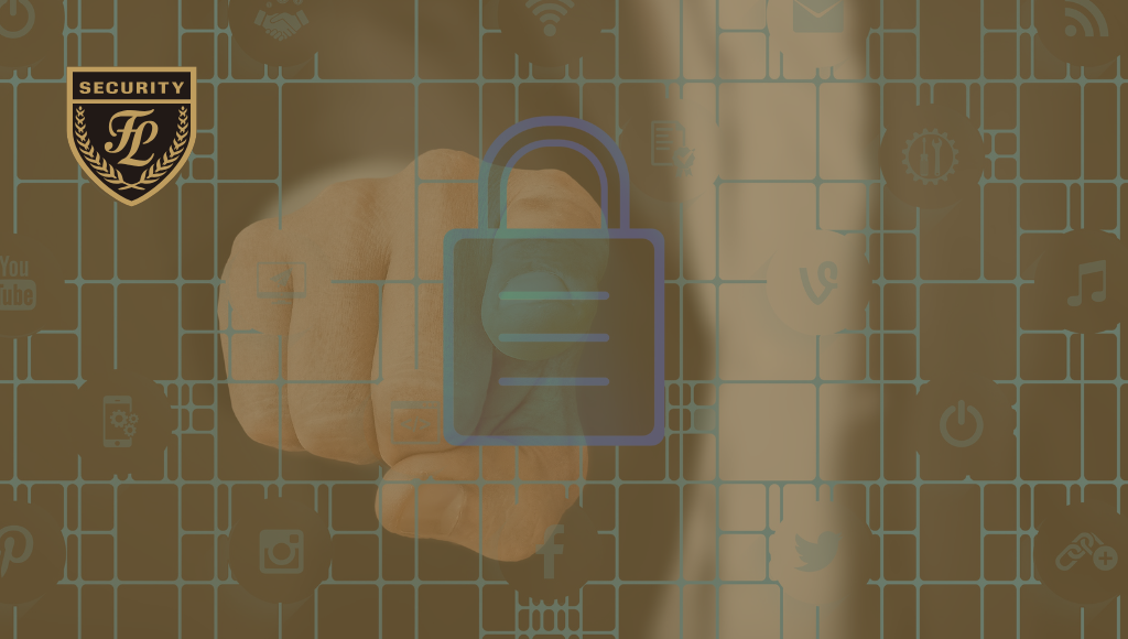 Professional Security Solutions